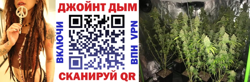 Конопля индика  omg маркетплейс  Сыктывкар  купить наркотик 